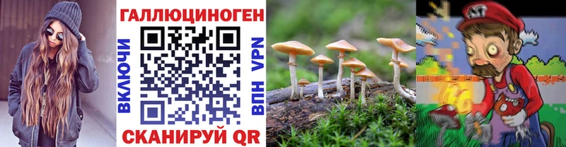 Псилоцибиновые грибы ЛСД МЕГА сайт Мценск